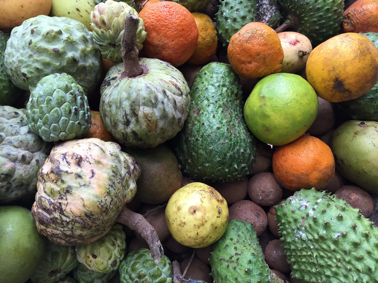 Кубинские названия. Кубинское манго. Экзотические фрукты Кубы. Кубинские фрукты. Экзотические фрукты на Кубе.