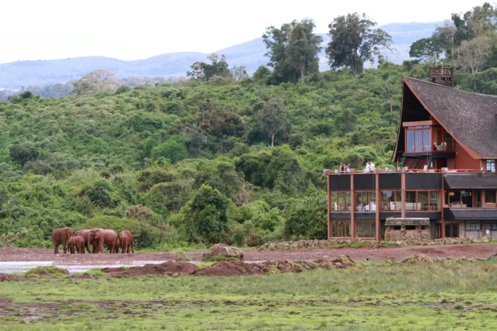 Accommodation overlooking wild animals on the Kenya Safari Trip
