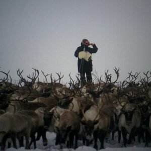 Canadian Arctic Adventure - Reindeer Herding