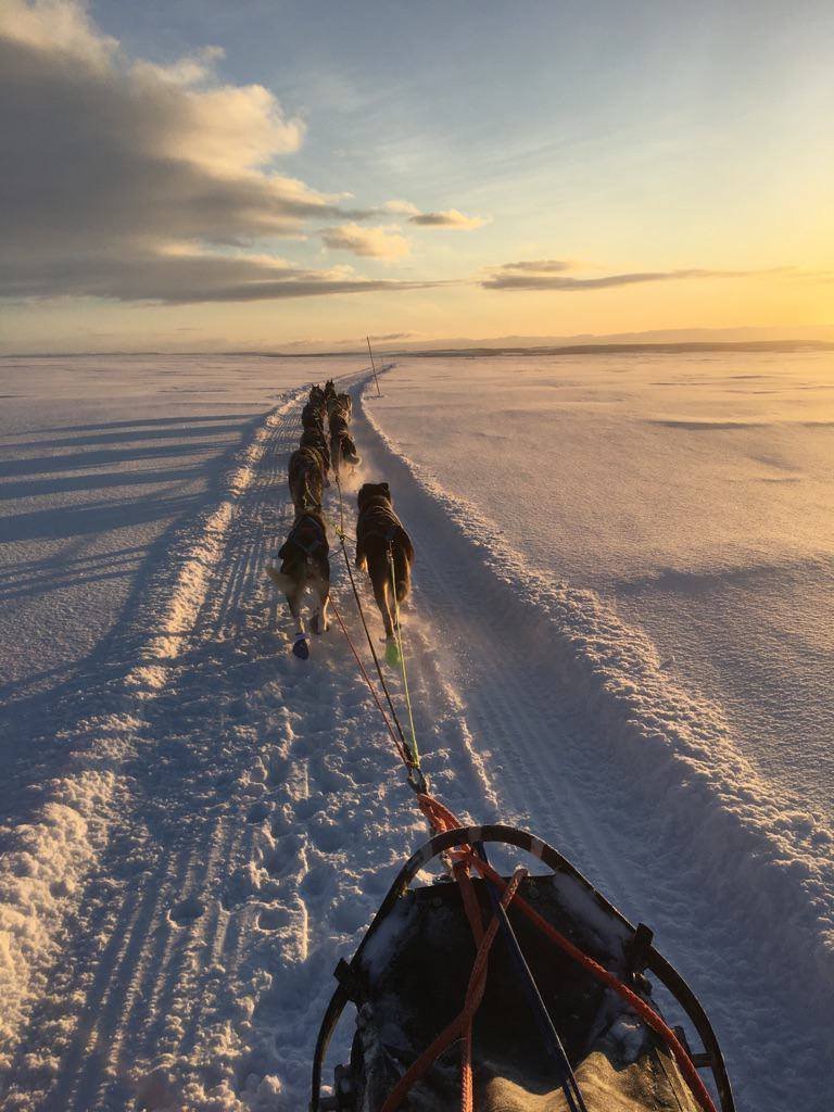 Norway Winter Adventure