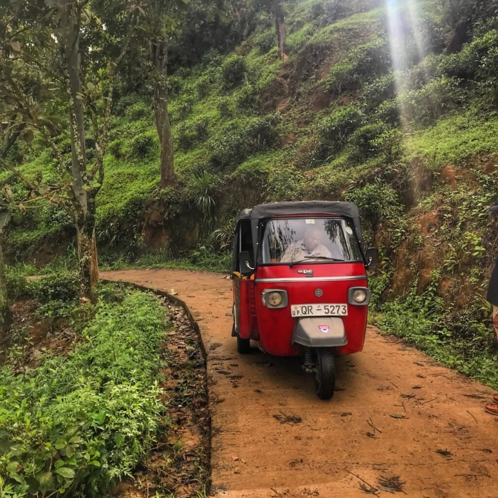 Tea Country - Vegan Ventures Sri Lanka