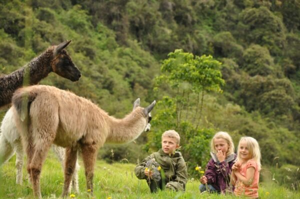 Ultimate Family Experience in Ecuador