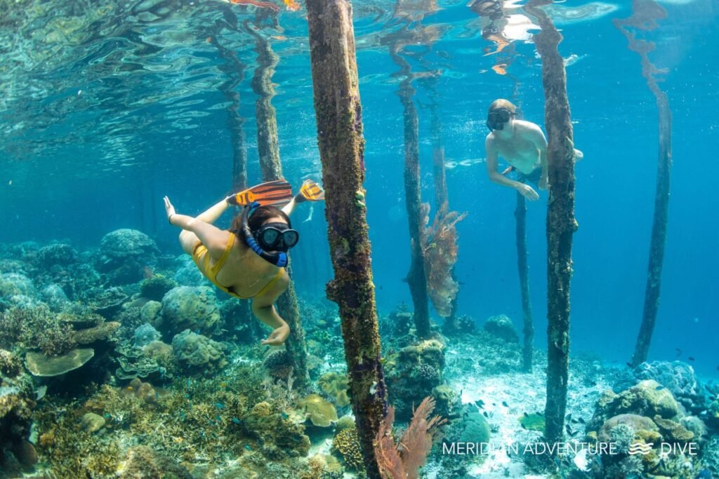 Raja Ampat - Scuba Dive Resort - MERIDIAN ADVENTURE DIVE