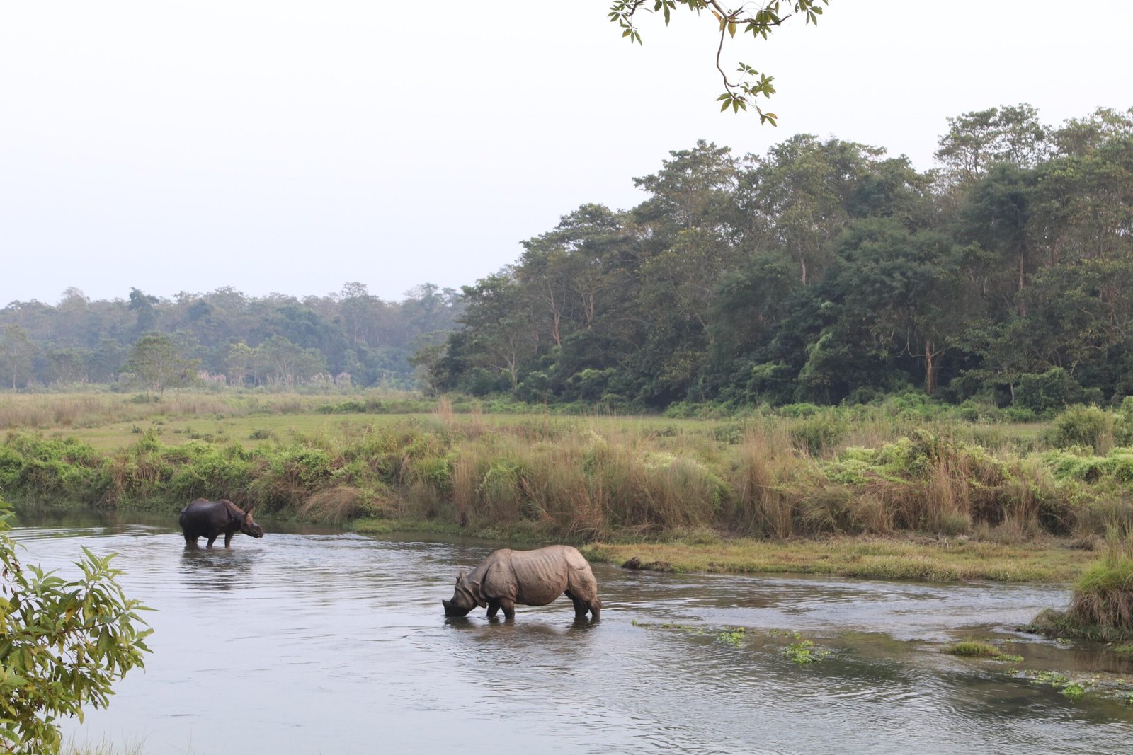 Chitwan National Park - Explore Nepal