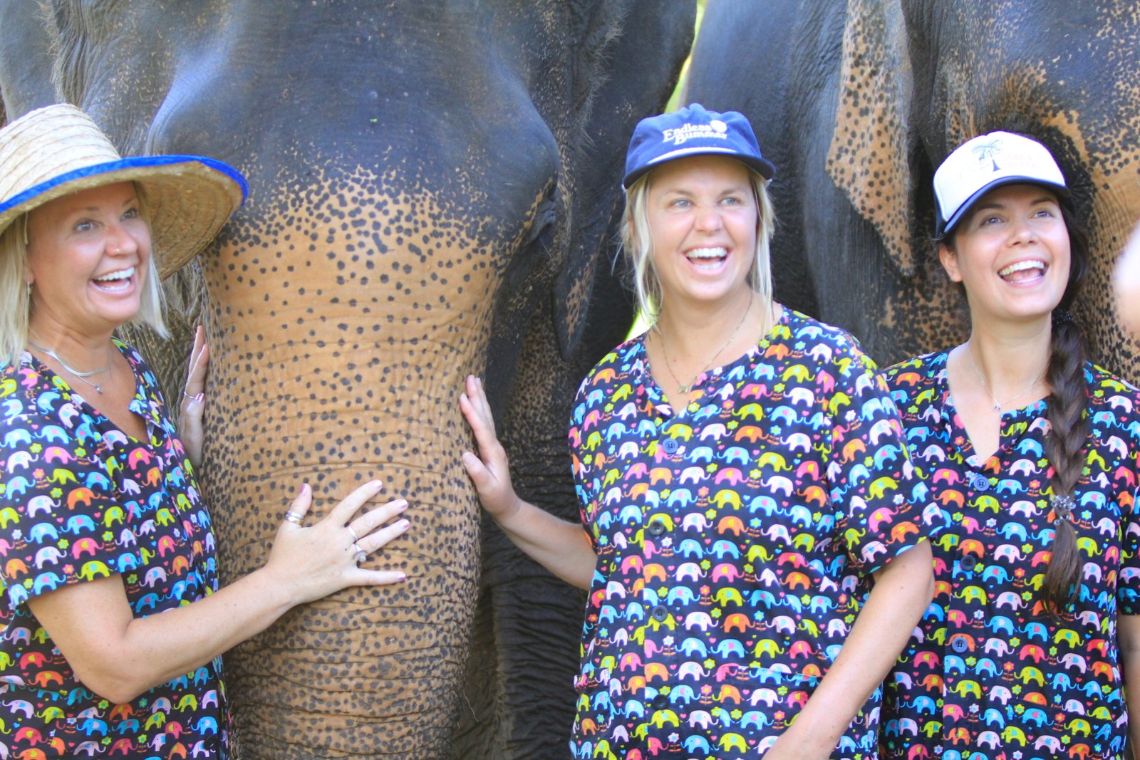 Kanta Elephant Sanctuary - Thailand custom tour