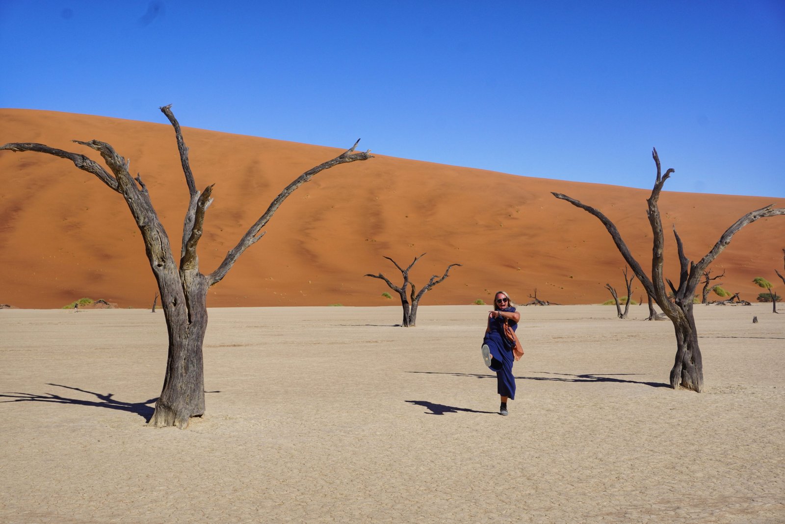 Nambia - Desert + Wildlife Self-Drive Adventure