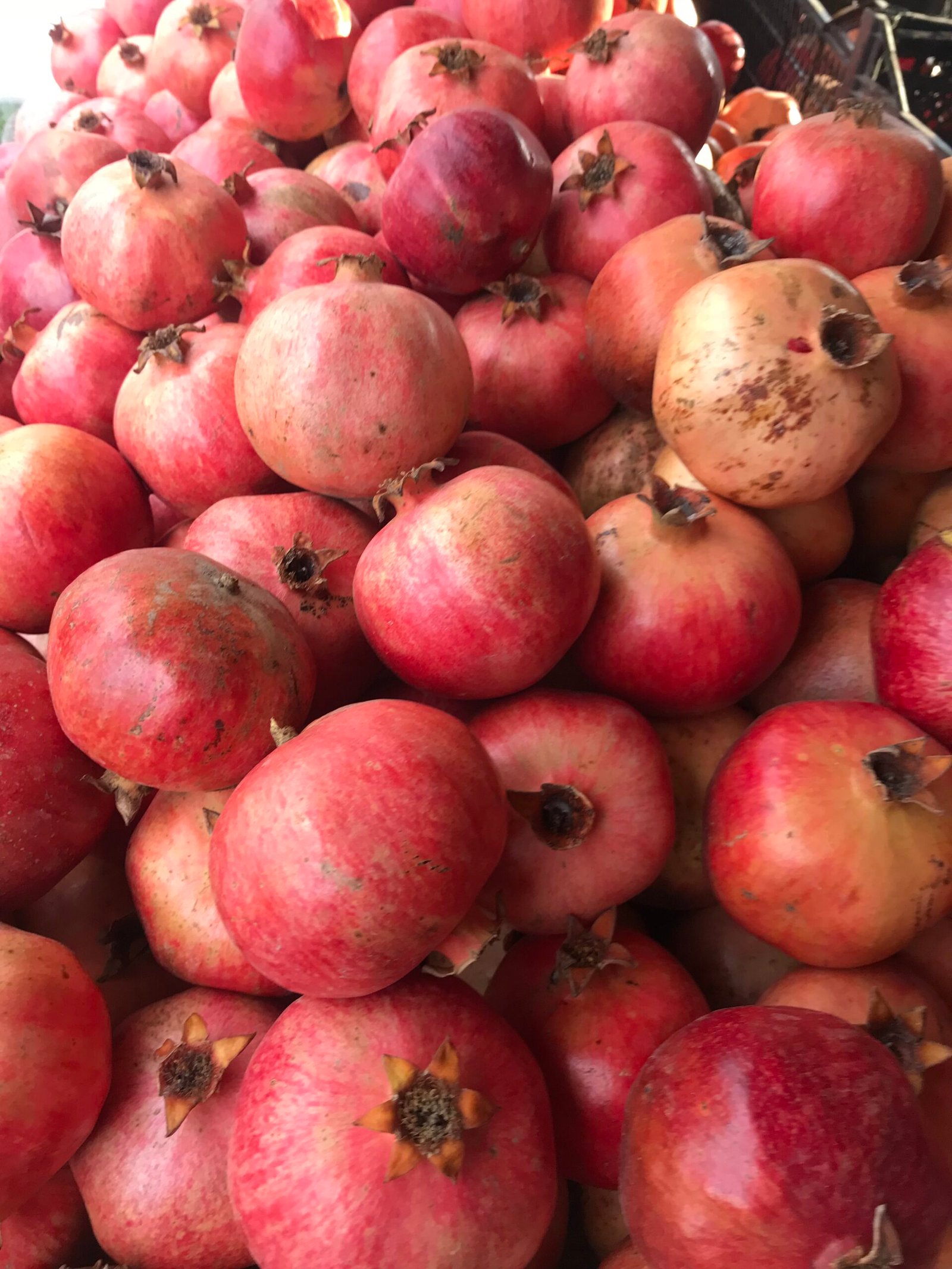 Pomegranates on a Market Tour- Highlights of Turkey Tour
