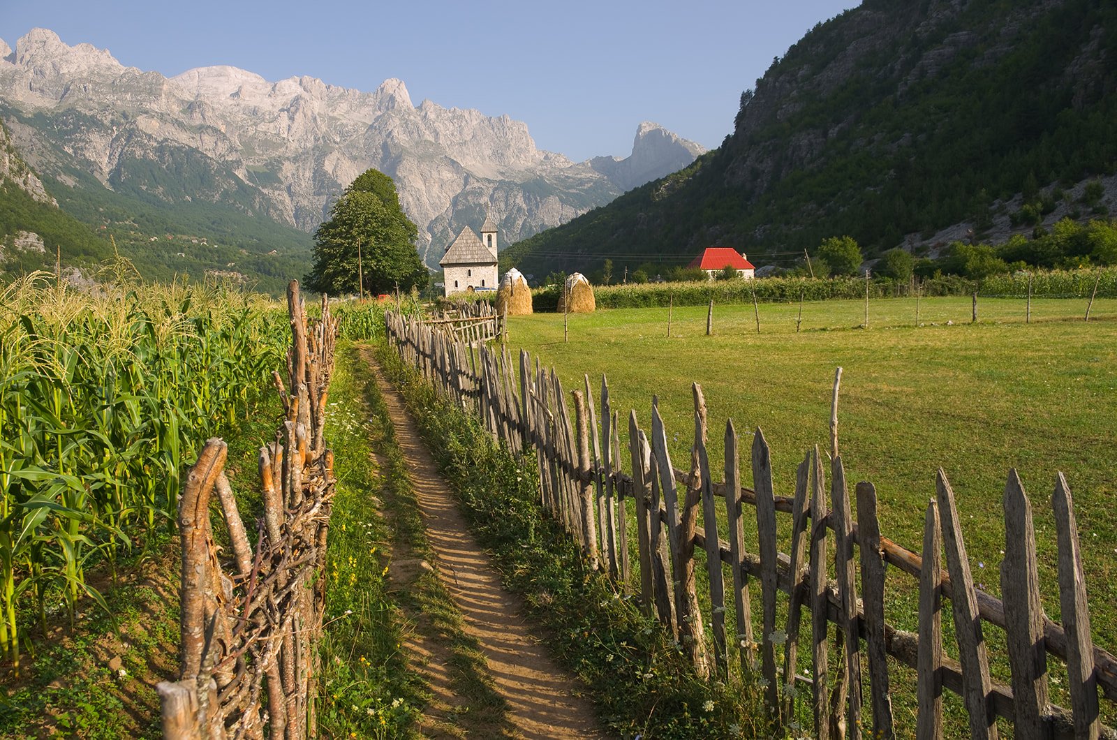 Cedar Path - The Balkan Alps Hiking Trip