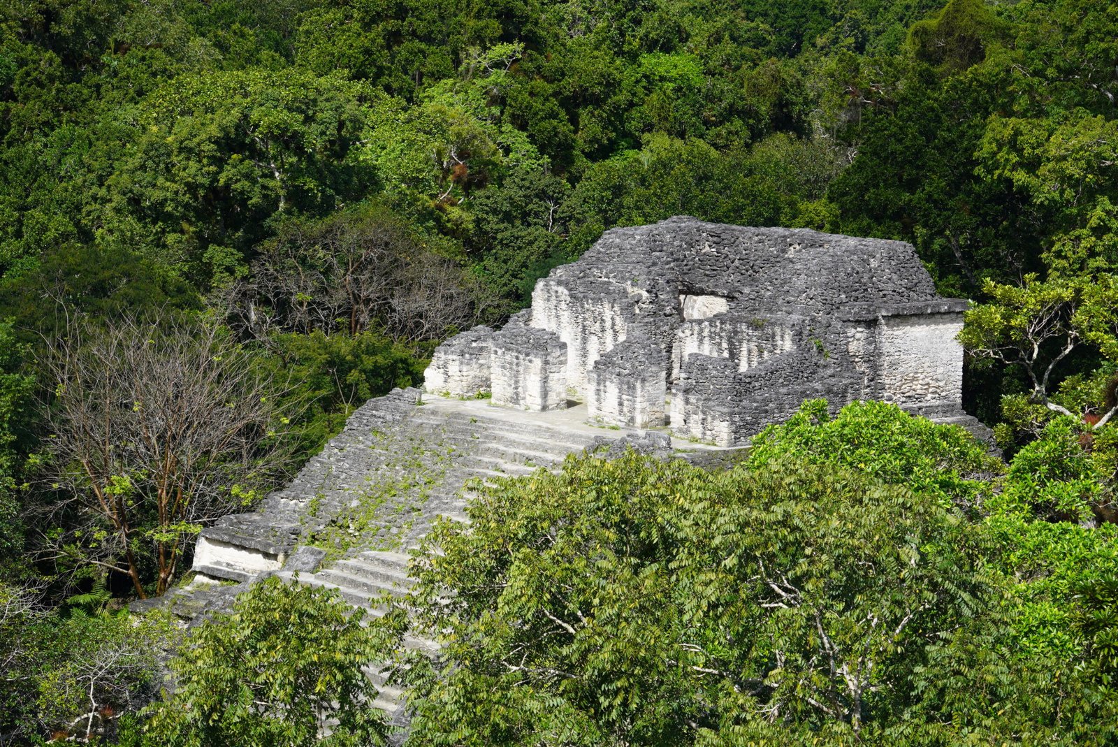 Tikal - Guatemala & Belize Journey