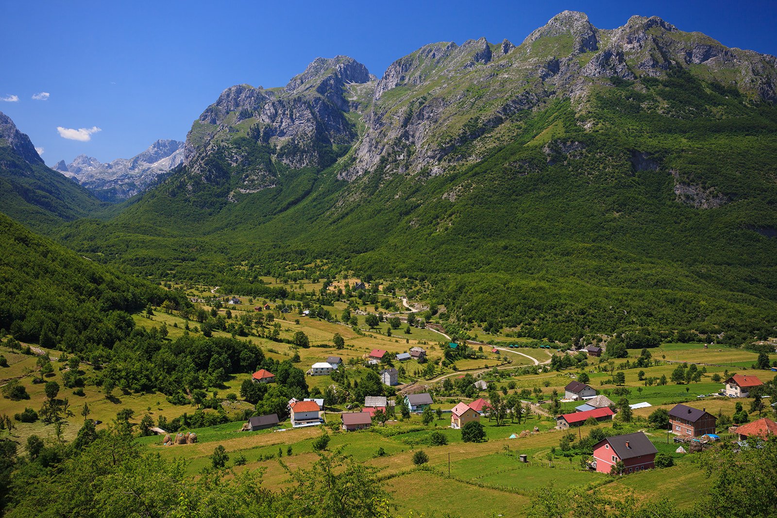 Cedar Path - Balkan Alps Hiking Trip - Montenegro