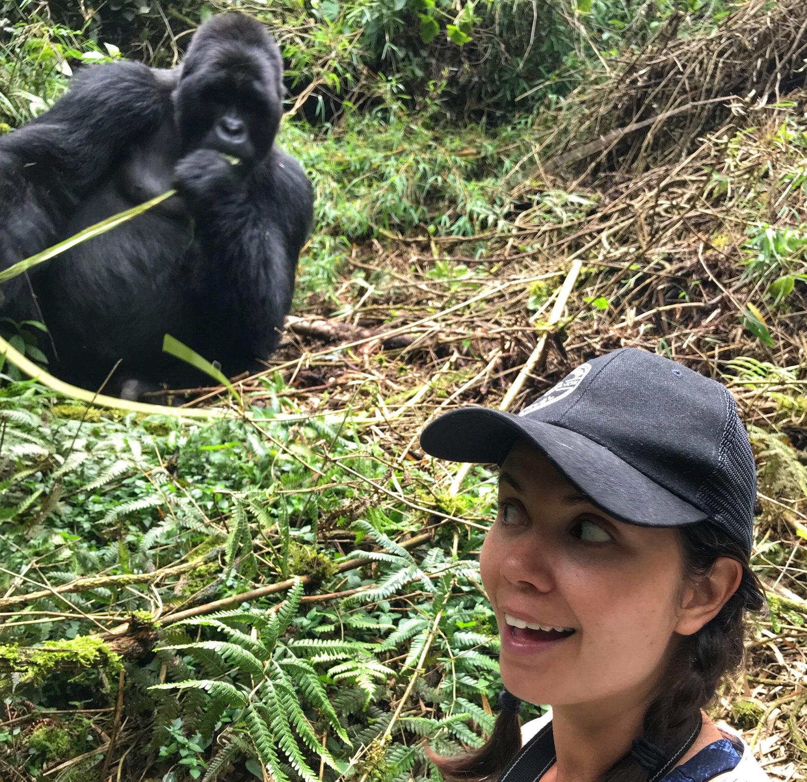 Selfie with a gorilla 