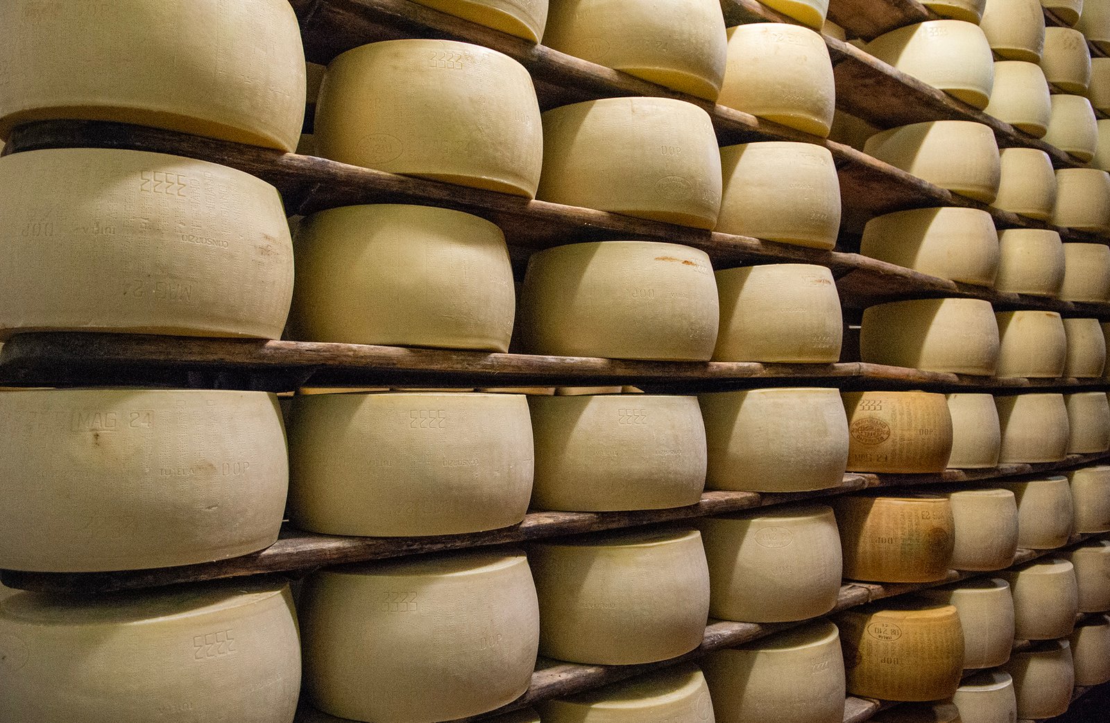 Parmesan House - Parma Culinary Tour