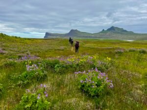 Cedar Path Expeditions - Iceland Hiking Adventure