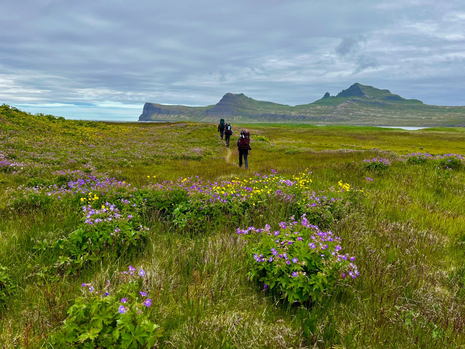 Cedar Path Expeditions - Iceland Hiking Adventure