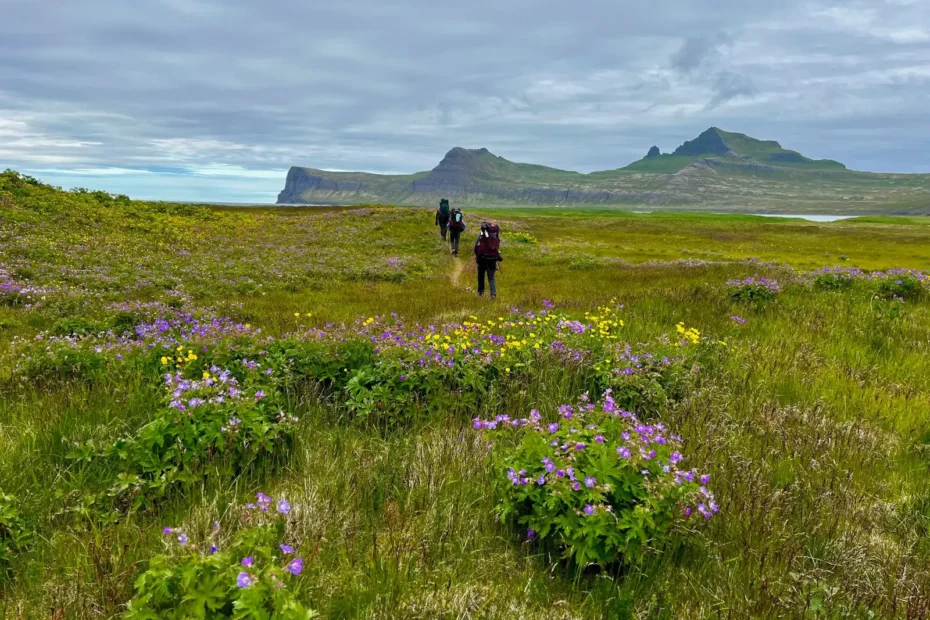 Cedar Path Expeditions - Iceland Hiking Adventure