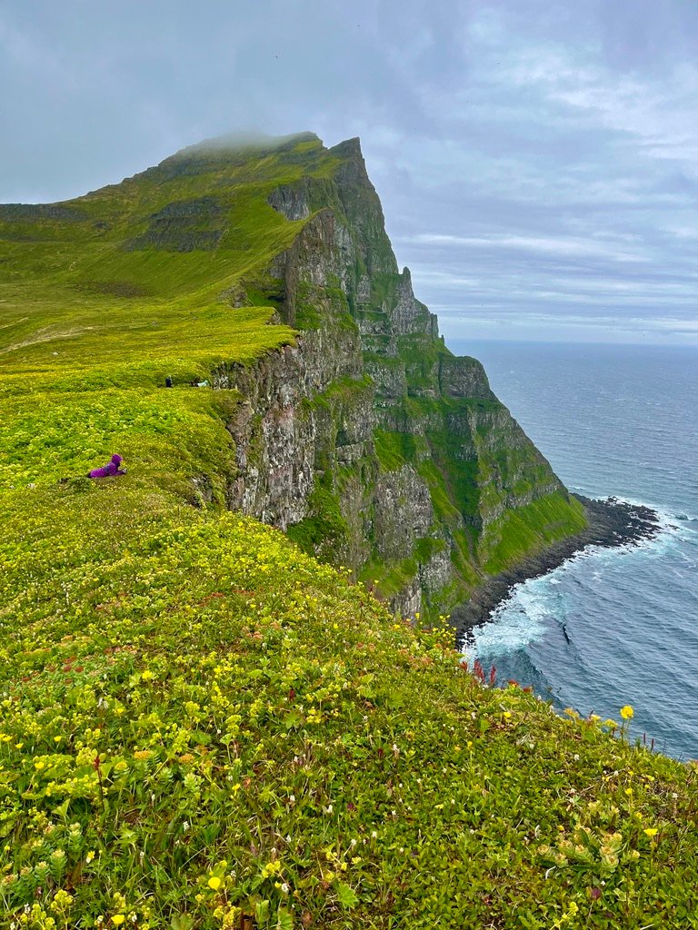 Cedar Path Expeditions - Iceland Hiking Adventure