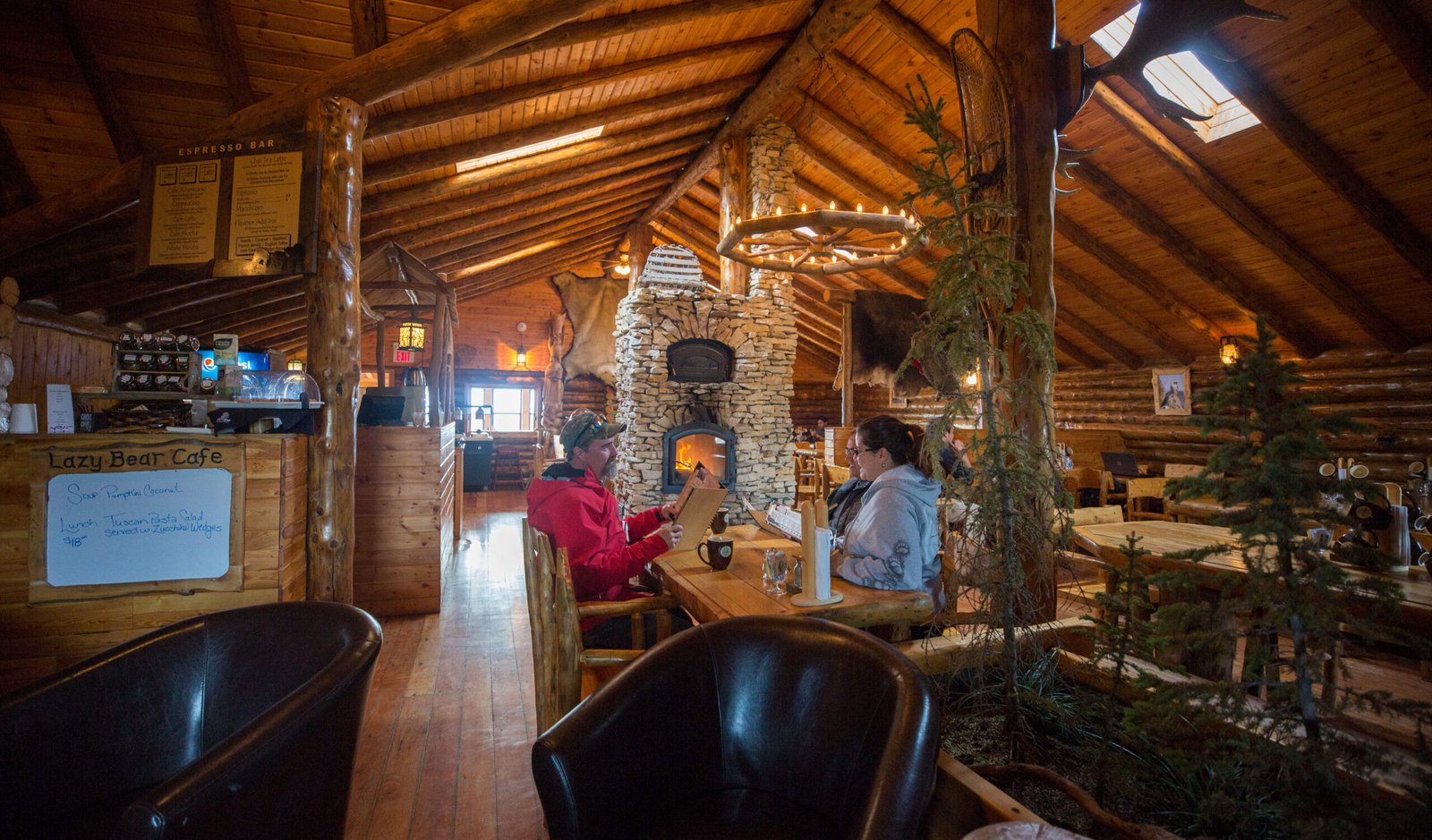 Lazy Bear Lodge - Polar Bear Tour