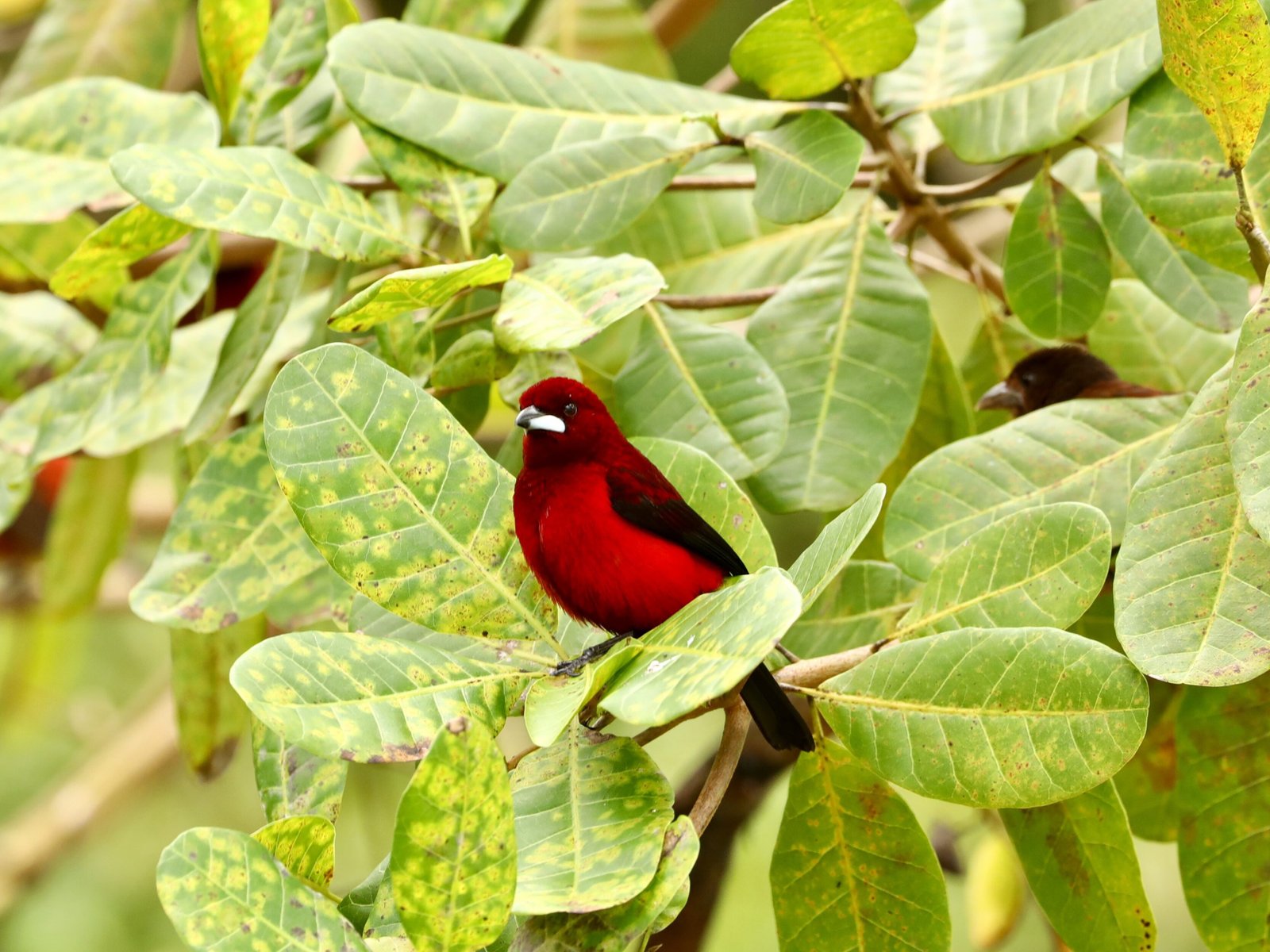 Beyond the Canal: Exploring Panama’s Hidden Treasures