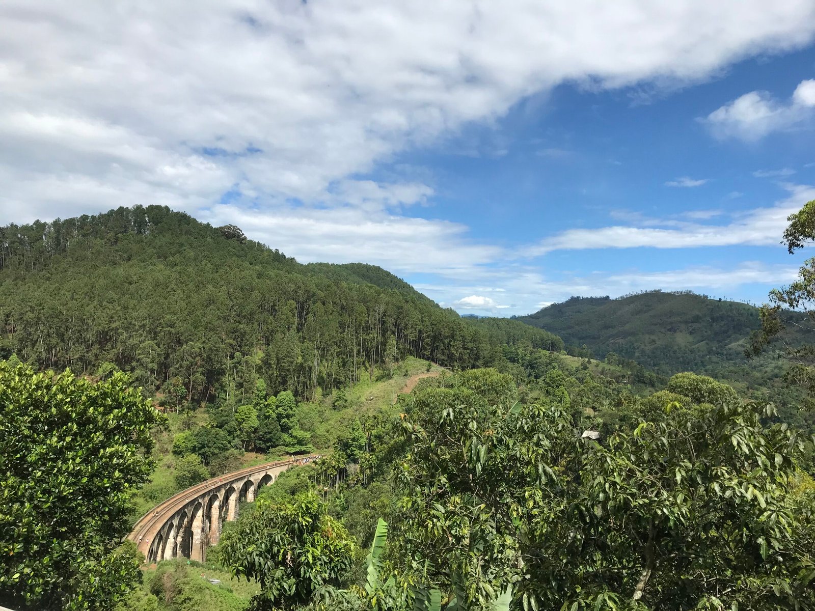 Train Ride - Vegan Ventures Sri Lanka Trip