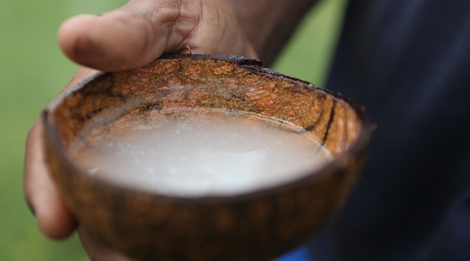 Palm Wine - Sri Lanka Culinary Tour