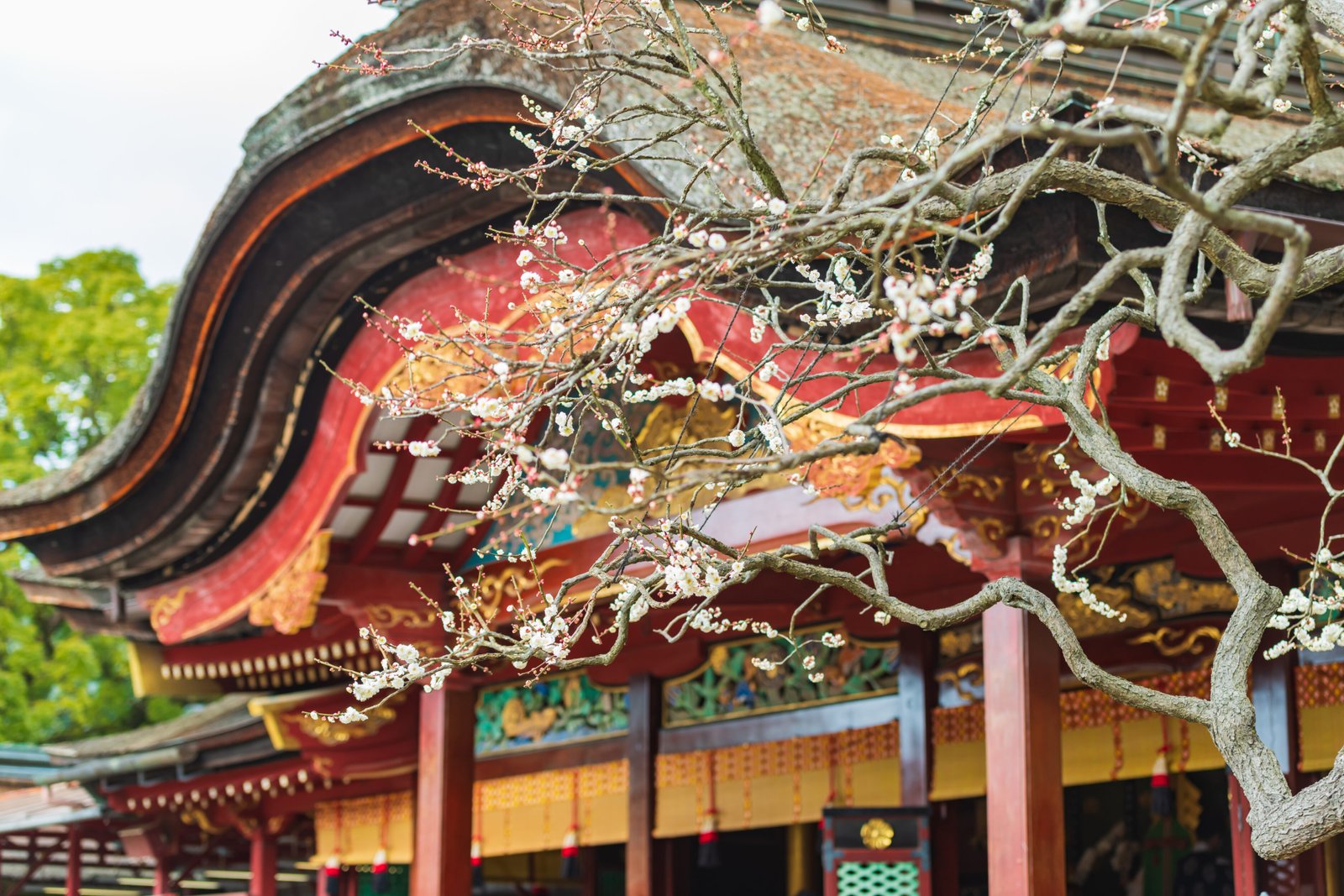 Dazaifu - Southern Japan with Keri & Nicola