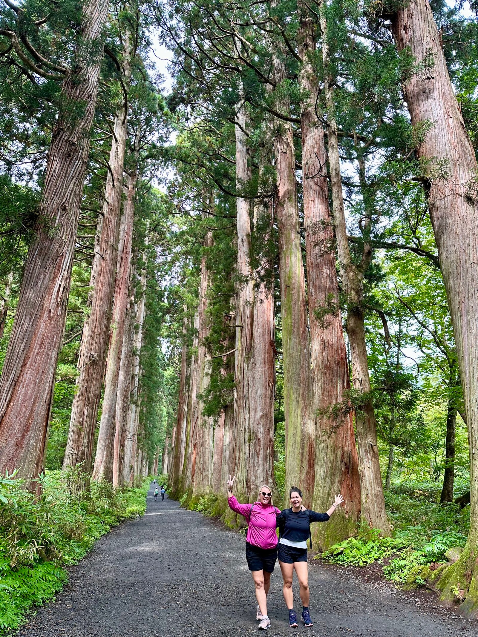 Forest Bathing - Keri + Nicola in Japan - Kyushu Tour