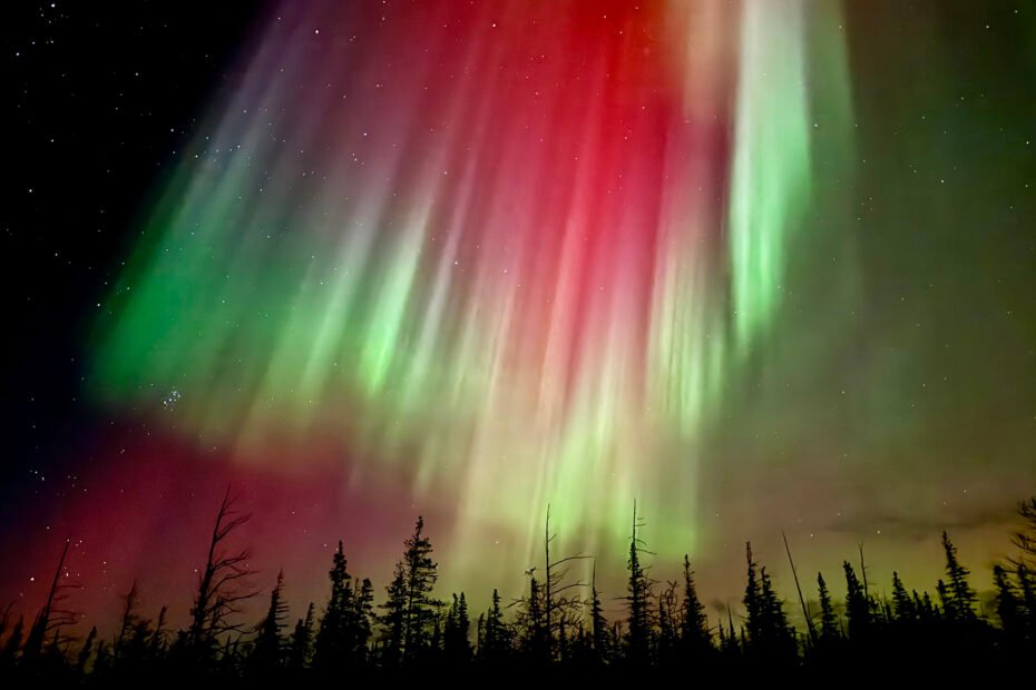 Northern Lights - Bears & Aurora Arctic Adventure