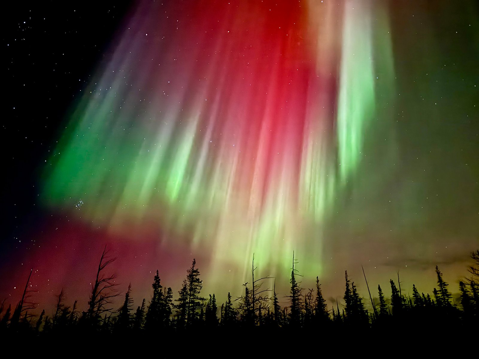 Northern Lights - Bears & Aurora Arctic Adventure