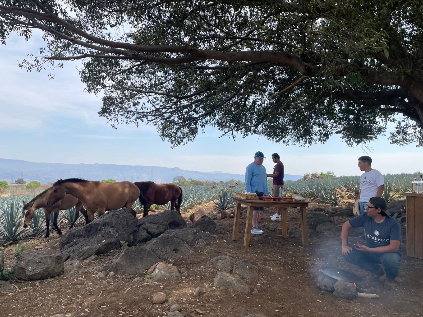 Guadalajara & Tequila Tour