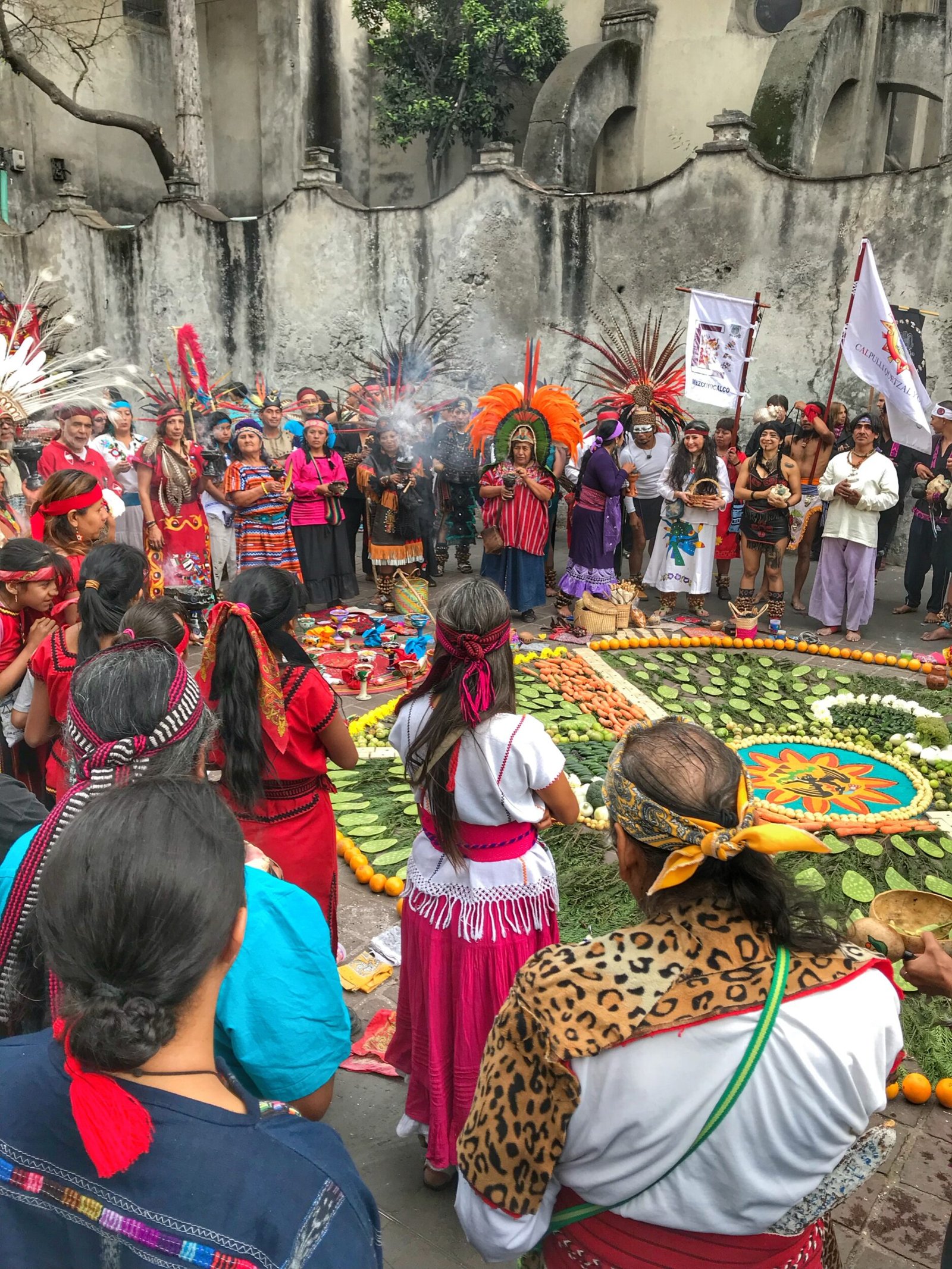 Coyoacan - Vegan Ventures - Mexico City Urban Adventure