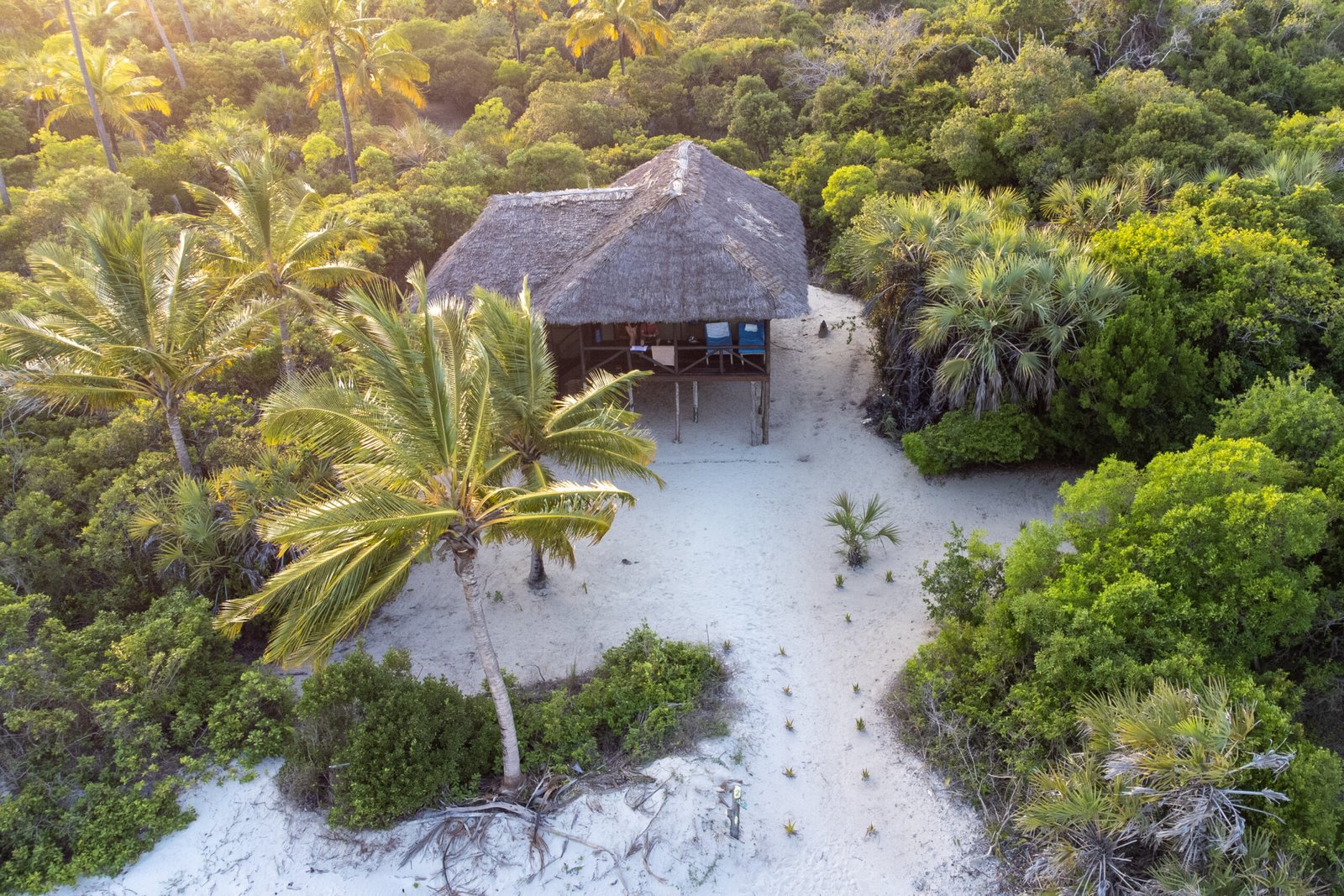 Beachfront Safari Experience