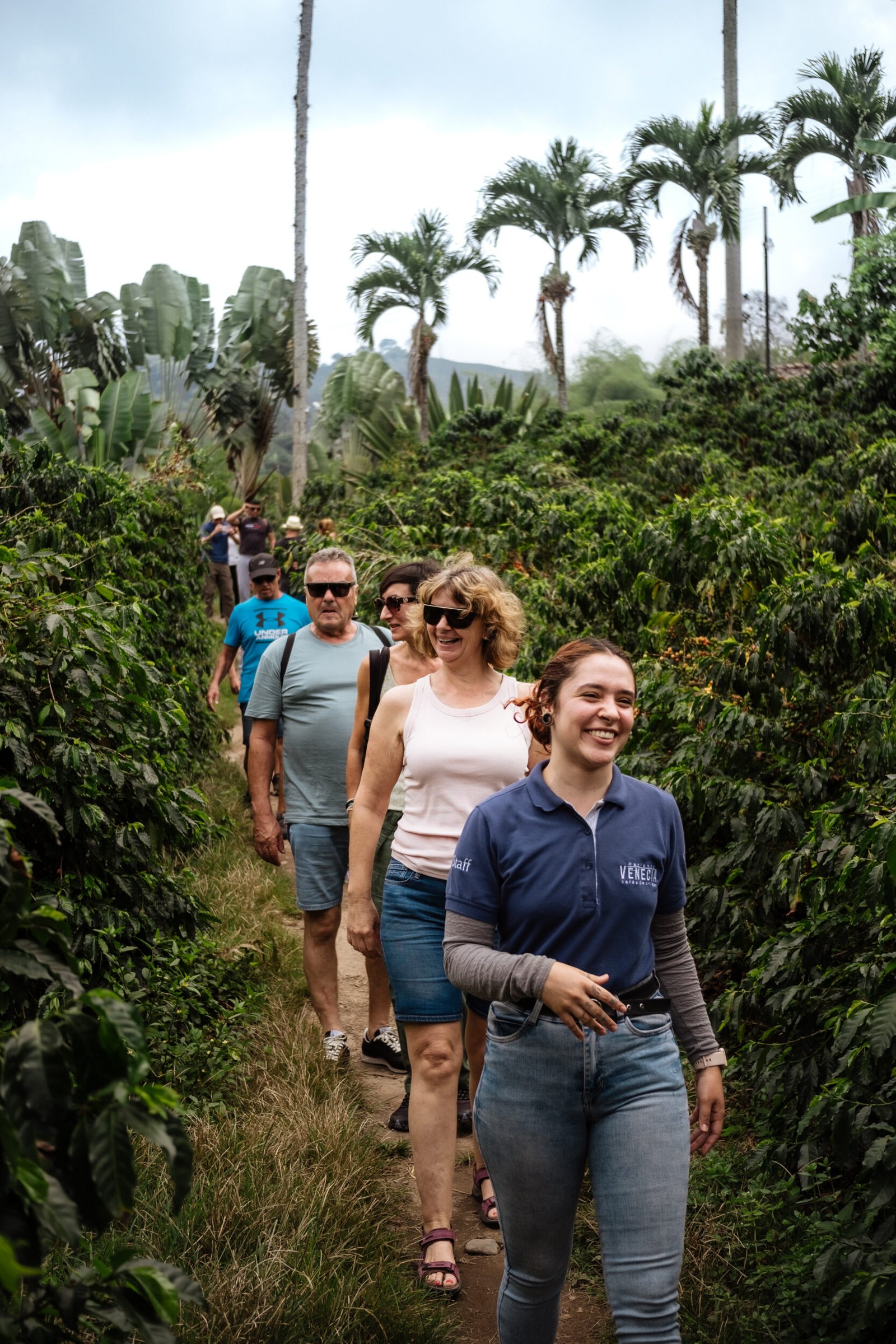 Birding Tour - Birding in Colombia's Highlands