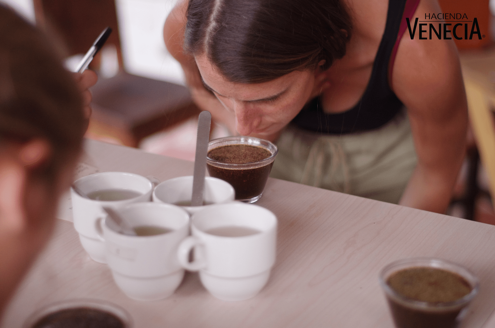 Coffee Experience - Colombia Birding Tour