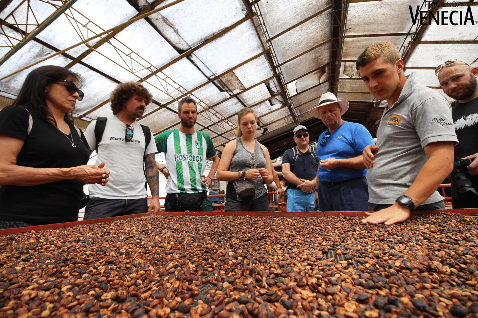 Coffee Experience - Colombia Birding Tour