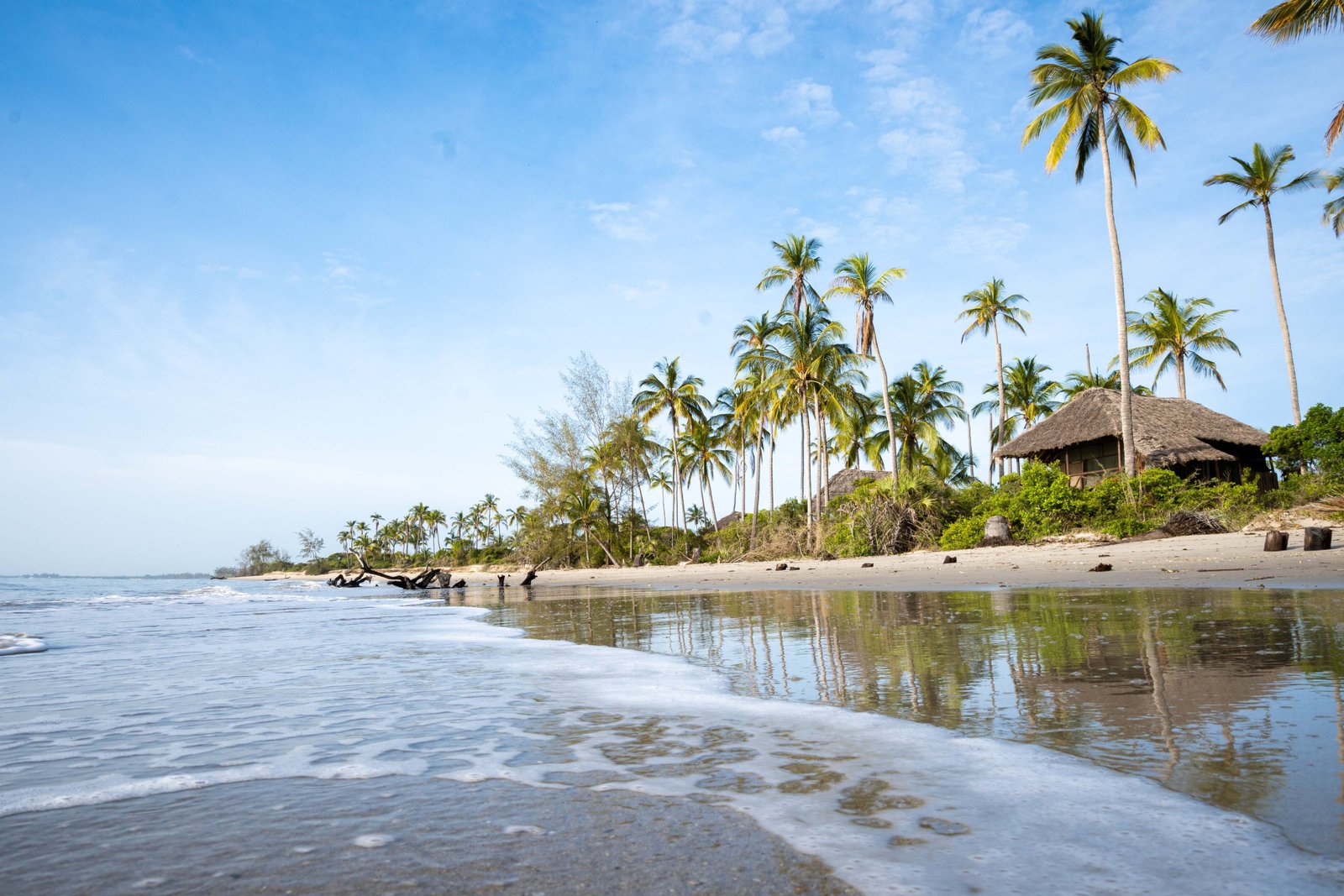 Saadani NP - Beachfront Safari