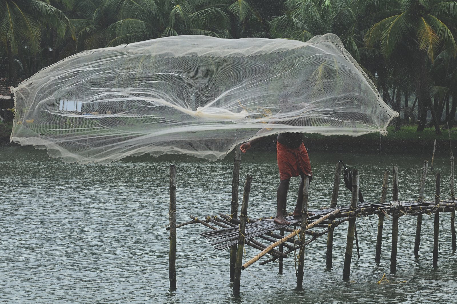 Fisherman at Valiyaparamba Backwaters - Kerala Tour with Margot Bigg