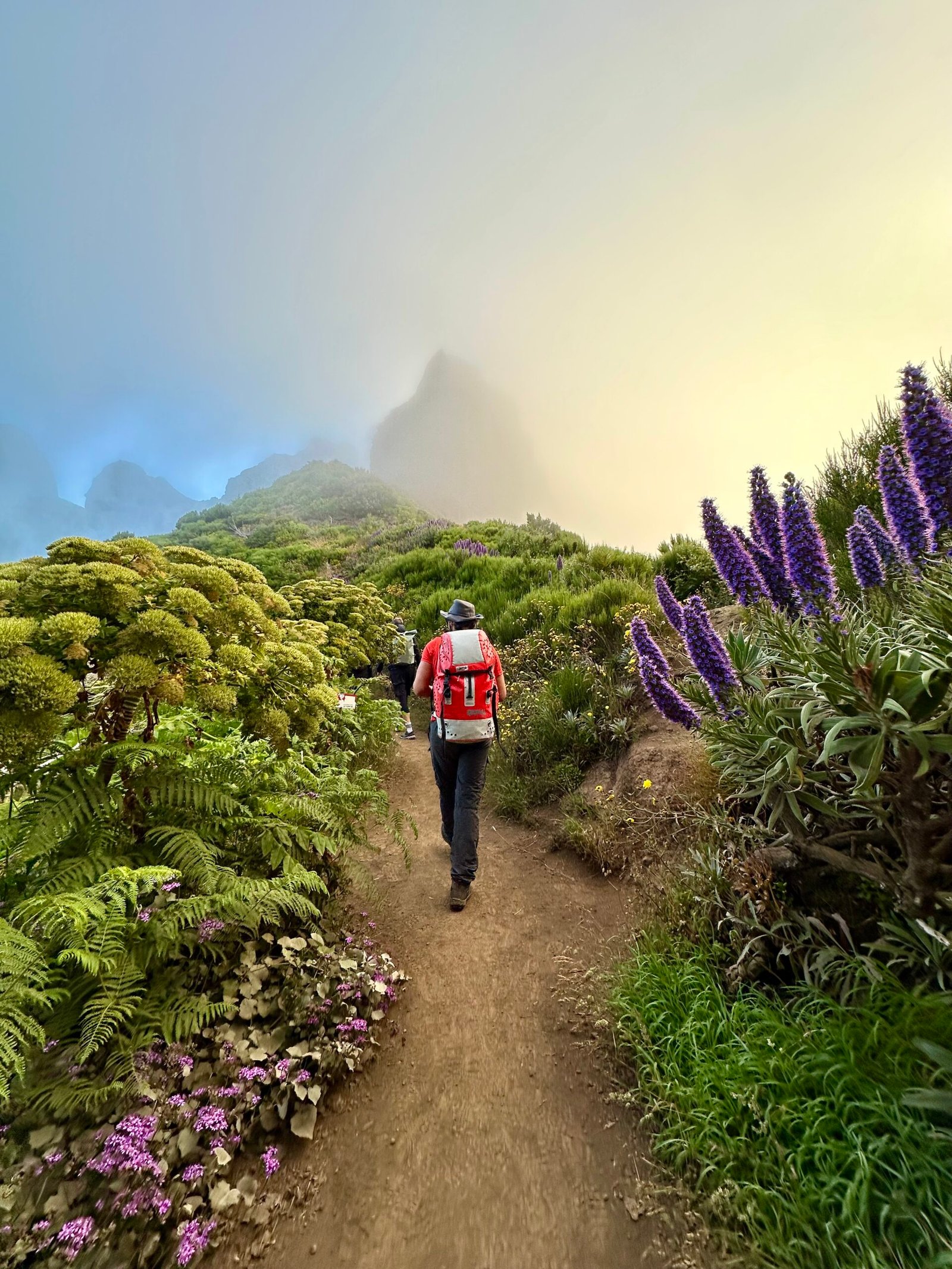 Madeira Hiking Trip with Marisa Mae