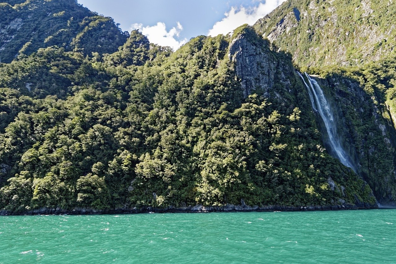 Tour of Milford Sound, New Zealand