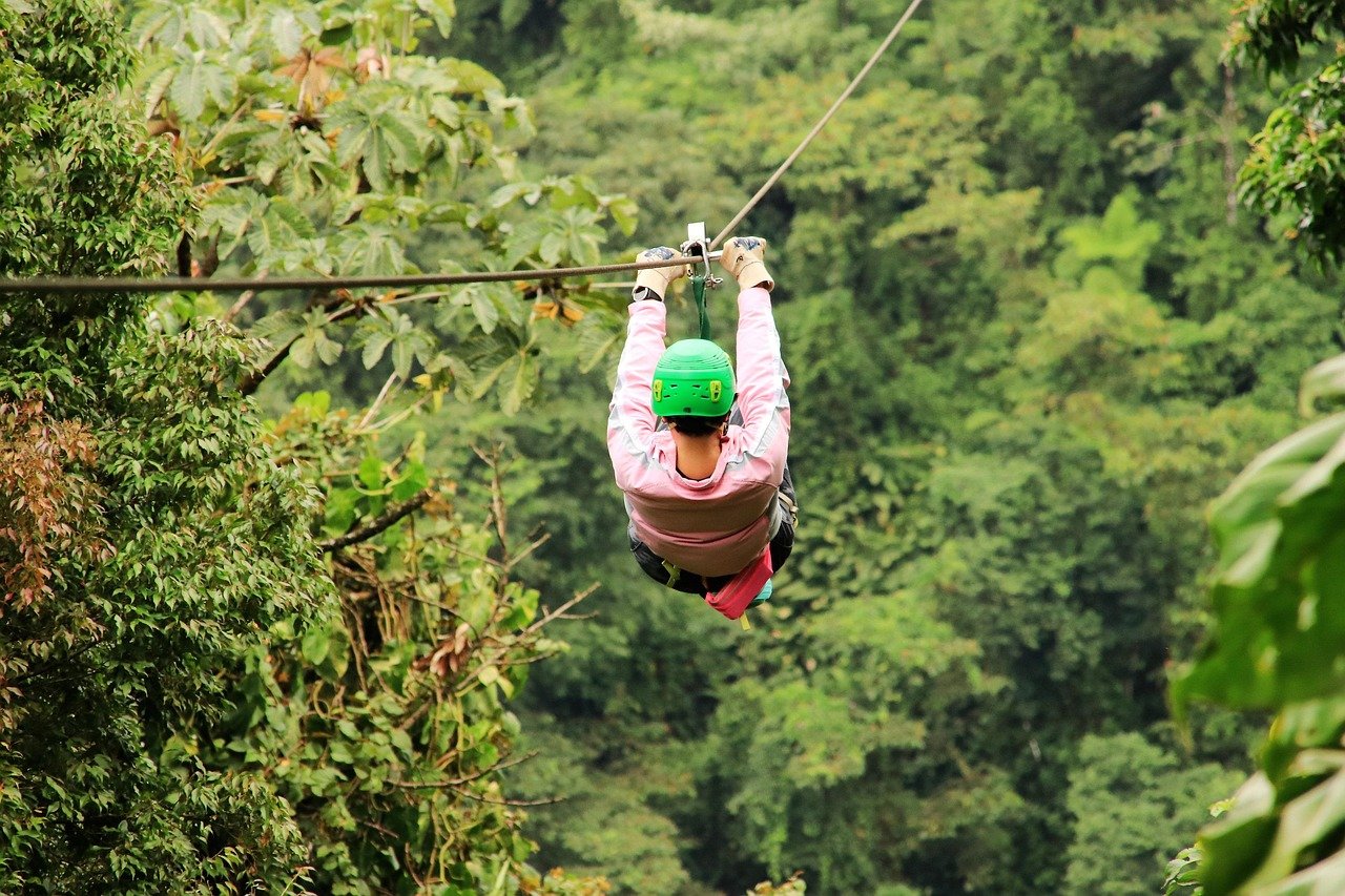 Ziplining - New Zealand Tour