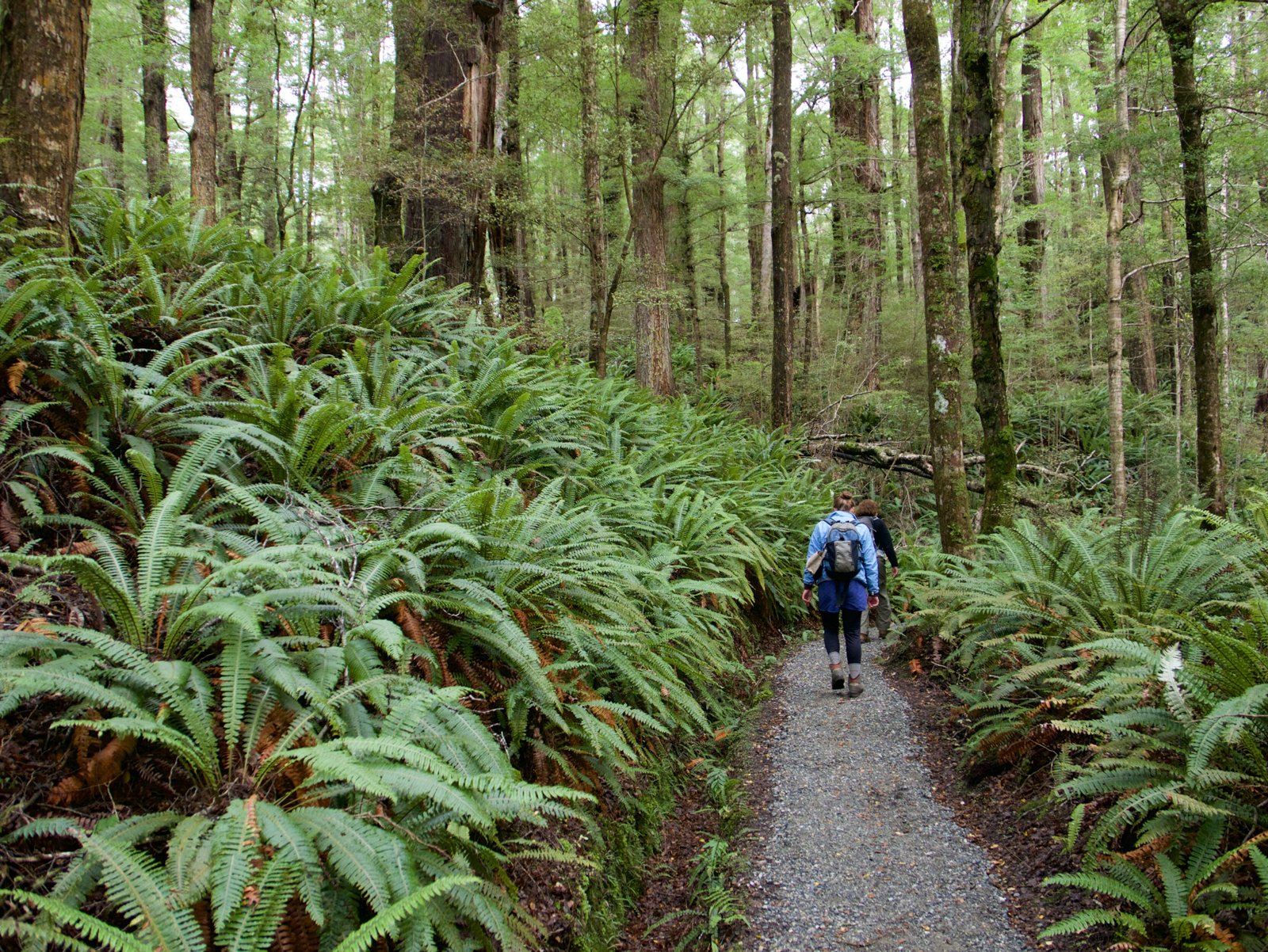 Abel Tasman National Park