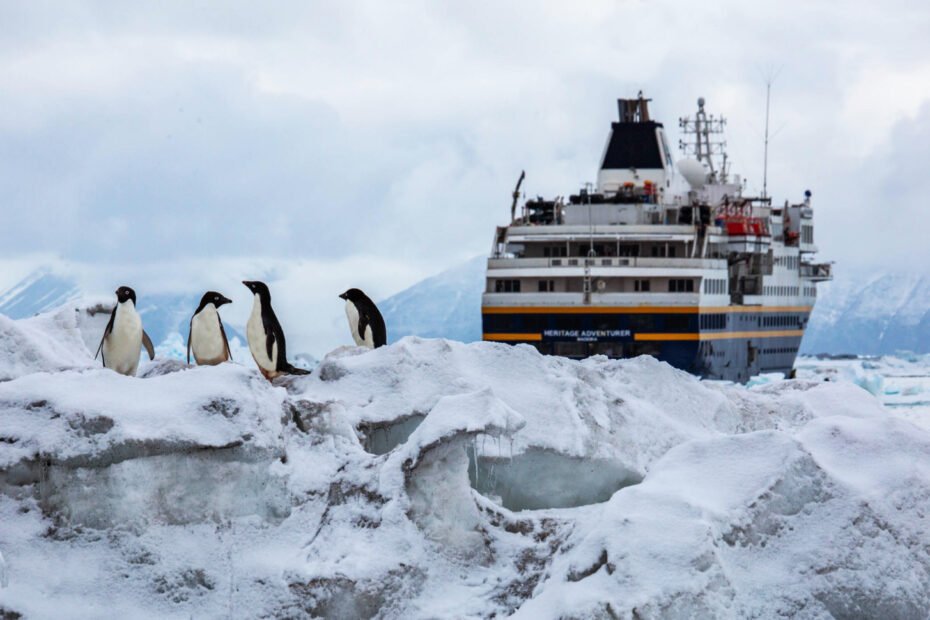 Galapagos of the Southern Ocean - Cruise the Subantarctic Islands of New Zealand and Australia
