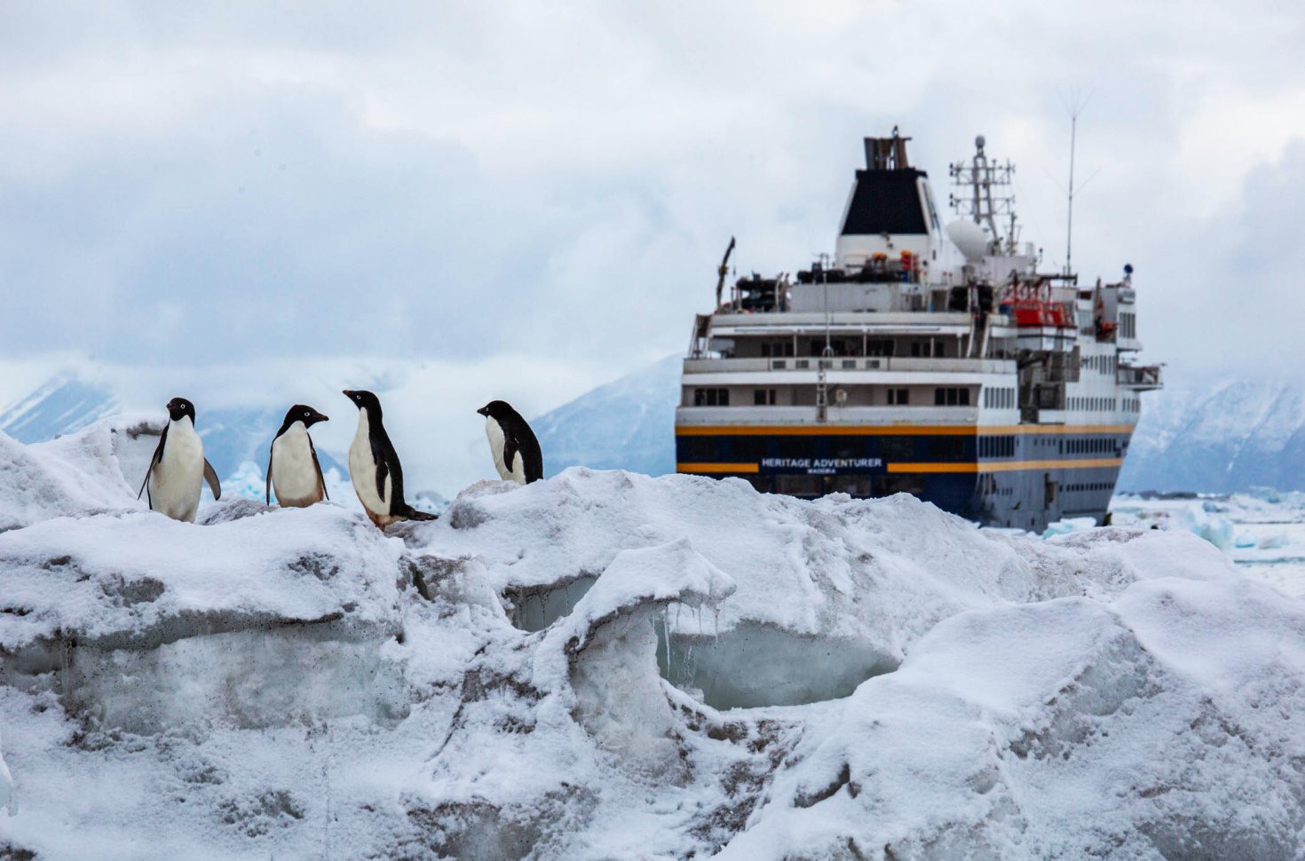 Galapagos of the Southern Ocean - Cruise the Subantarctic Islands of New Zealand and Australia