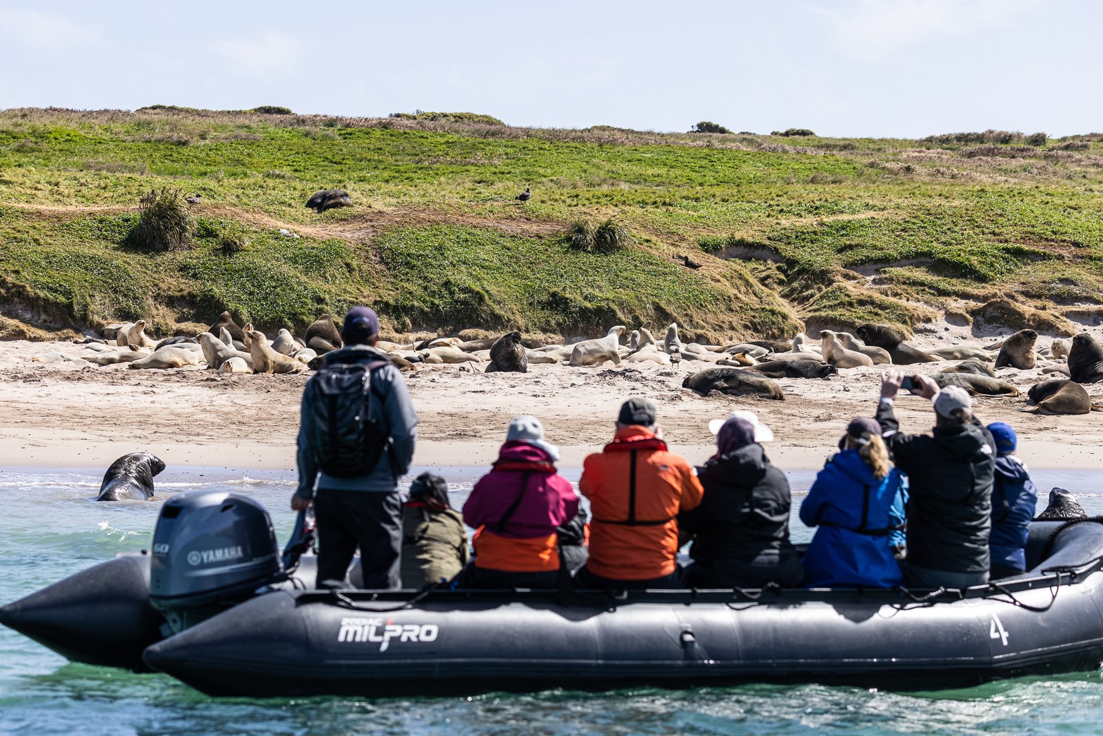 Expedition Cruise - Subantarctic Islands of New Zealand