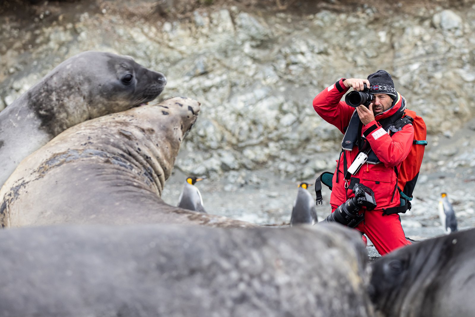 Photographers - Galapagos of the Southern Ocean -Subantarctic Islands of New Zealand and Australia