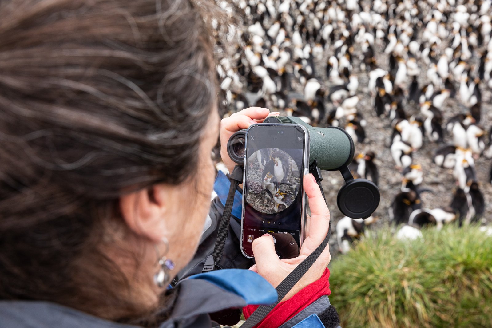 Galapagos of the Southern Ocean -Subantarctic Islands of New Zealand and Australia