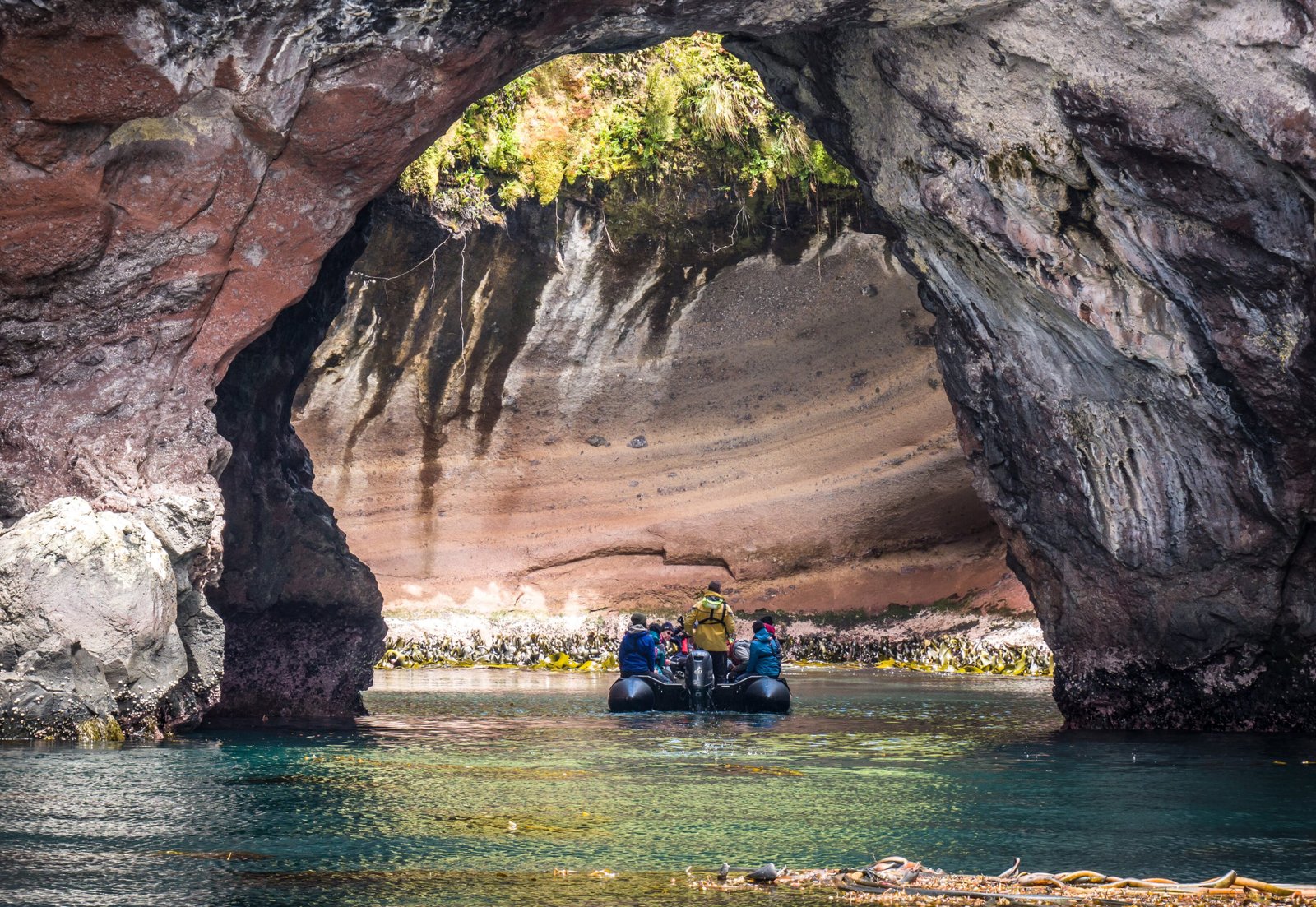 Zodiac - Galapagos of the Southern Ocean -Subantarctic Islands of New Zealand and Australia