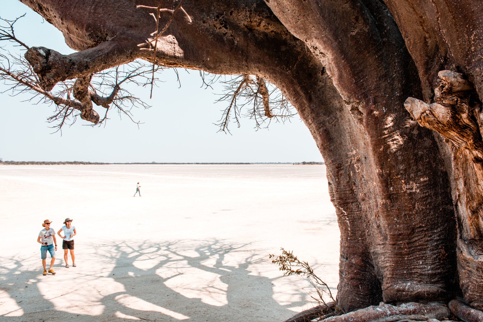 Botswana Ultimate Safari Adventure - Luxury Wildlife Safari