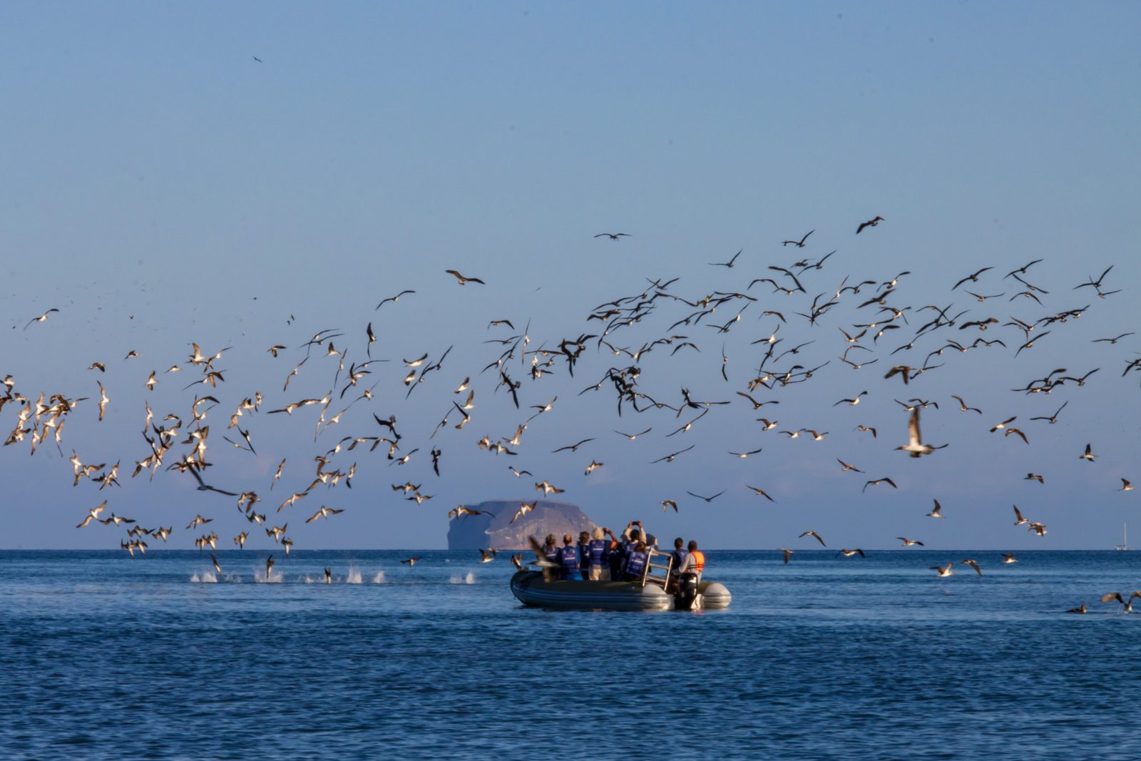 Hermes - Galapagos Cruise