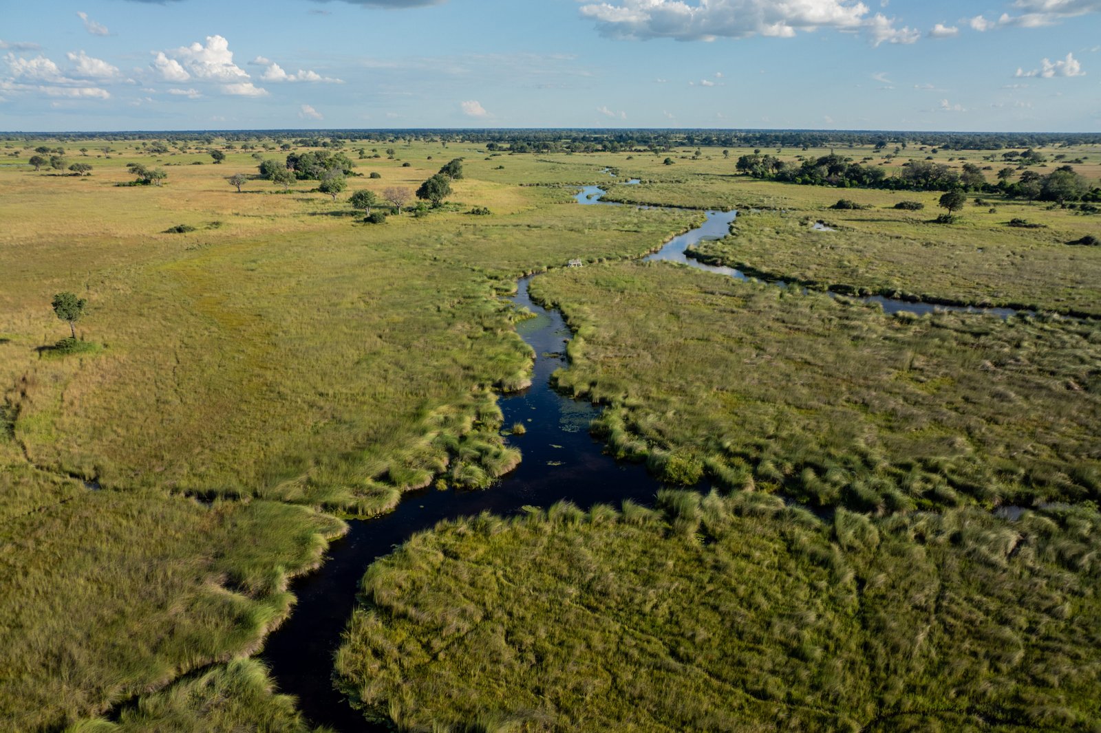 Okavango Delta - Botswana Safari - Luxury Wildlife Safari
