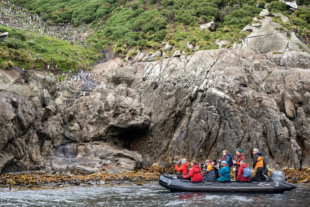 Galapagos of the Southern Ocean -Subantarctic Islands of New Zealand and Australia